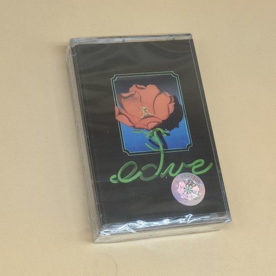 Tape chair orchestra The Chairs Real Love Is brand new undetached lyrics Ben