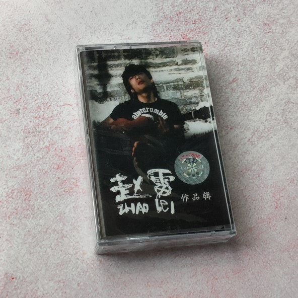 Tapes Zhao Lei works on the nineteen-year-old Chengdu ideal painting South girl's brand new undemolished retro