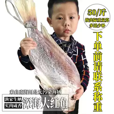 Taishan specialty Chuandao deep sea red dried fish dried dried sea fish fishermen self-drying seafood