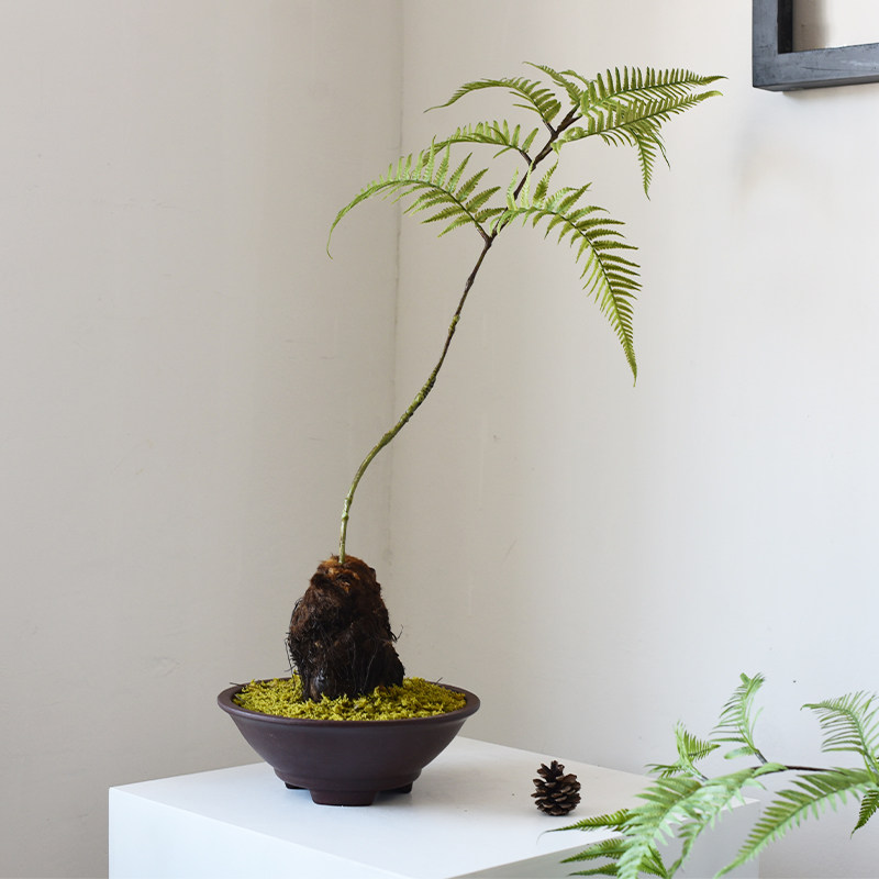 Modern New Chinese Golden Silk Monkey Fern 3-foot Bonsai Silent Wind Small Crowdflower Vintage Floral Classical Emulation Floral Decoration Pendulum