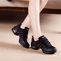 Spring Net Face Dancing Shoes Heightening Genuine Leather Dancing Shoes Lady Soft Bottom Modern Square Dance Fitness Shoes