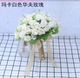 Прозрачная Quanbaihuafu Rose
