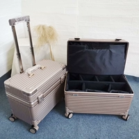 Вкладыш, набор, цвета шампанского