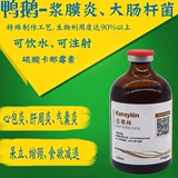 Серная кислота кокицина куриная утка, утка, гусь, плазма, прорастание кишечной палочки, мягкие ноги с мягкими ногами печени.