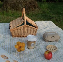 Picnic basket designer ins wind rattan woven portable basket red wedding featured gift basket net spring tour