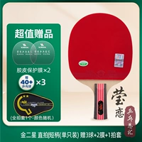 Золотой двухзвездный прямой выстрел