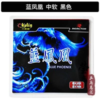 Blue Phoenix _ Black Soft Special Clear Clear Warehouse