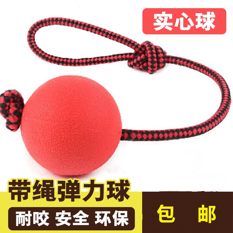 Pet Dog Toy Rubber Bite Resistant Solid Elastic Ball Training Funny Toy Grinding Toy With Cotton Rope Portable