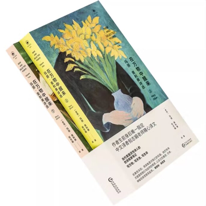 《在万物中醒来》玛丽·奥利弗诗选为何备受文学爱好者追捧?-中国现当代诗歌-淘宝好物网