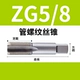 ZG5/8