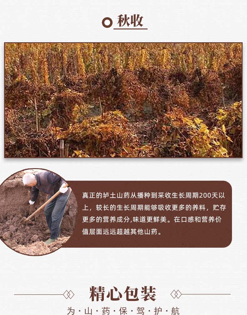 _ 装 垆 垆 垆 _11.jpg