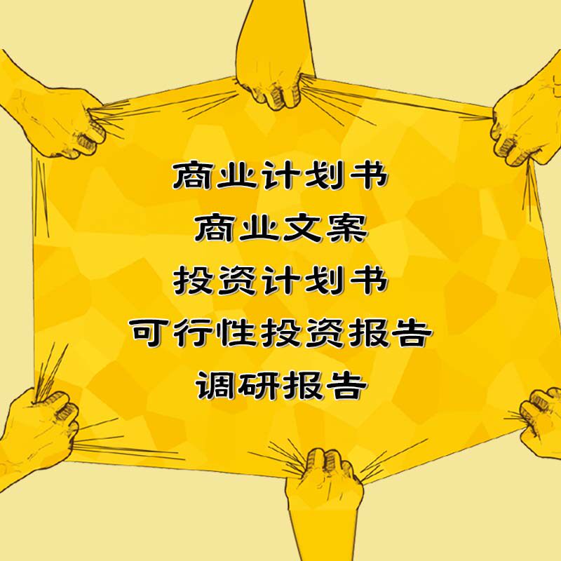 Business Plan Business Copywriting Investment Plan Feasibility Investment Report Research Report