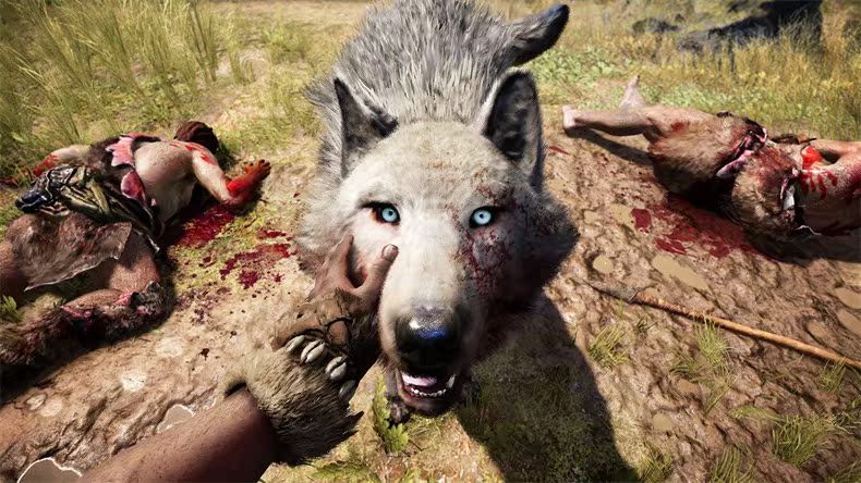 Spot trò chơi console PS4 chính hãng Far Cry Original Killing Barbarian phiên bản Trung Quốc - Trò chơi gamecube dvd