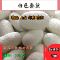 Complete natural beauty silkworm cococoon art cocoon white color silkworm cocoon dry cocoon live pupae clean high quality