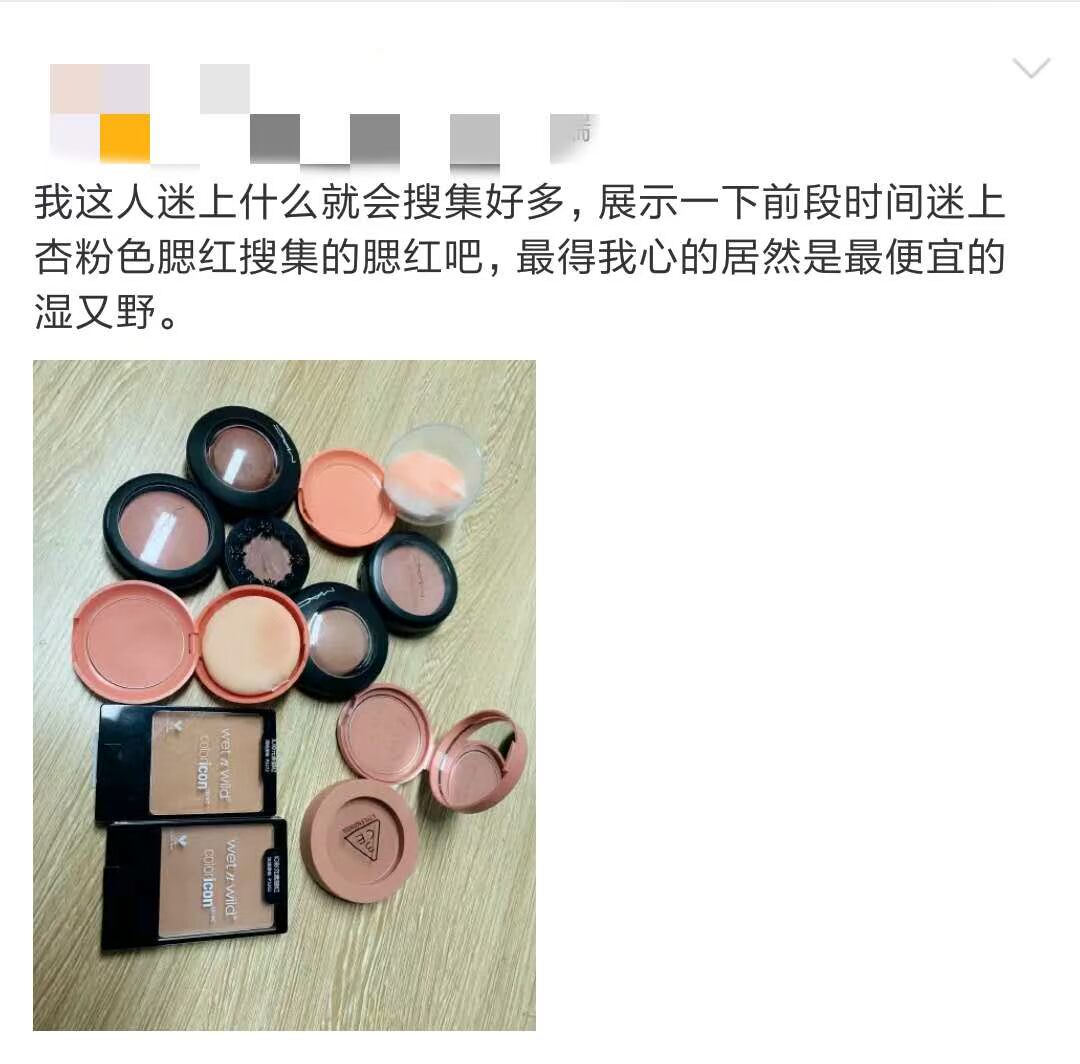 Mỹ New Wet n Wild Wet và Wild Monochrom Blush WNW Viterva Color Persistence 328b 327b - Blush / Cochineal má hồng chanel