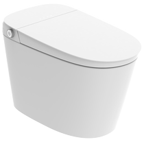 Realt Smart Toilet Fully Automatic Flip Cover Full Function No Water Pressure Limitation Foam Shield Electric Toilet UX7