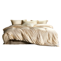 Mercury Home Textiles winter quilt silk quilt Class A antibacterial 100% mulberry silk quilt jacquard quilt core bedding 24 years new product