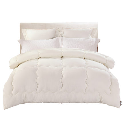 水星家纺 暖芯抗菌特厚被 保暖被芯 单双人特厚被子冬被床上用品