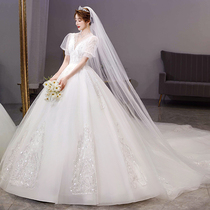 Light main wedding dress 2021 new temperament bride high-end luxury v-neck tail cover thick arms French small child