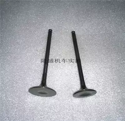 Lifan Motor KPT200 KPS200 KPM200 KPR200 Valve valve Intake valve Exhaust valve