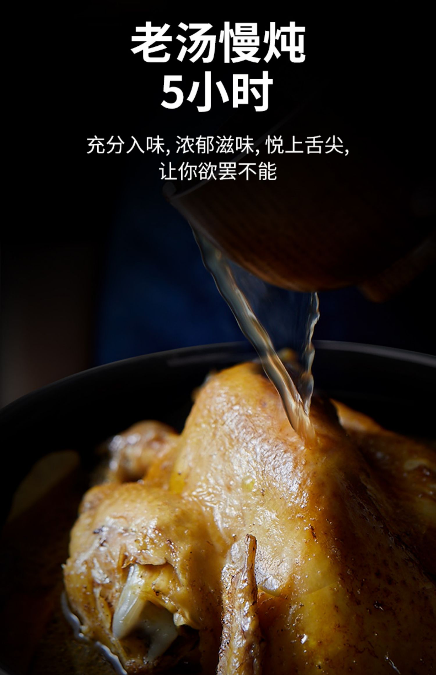 乡盛德州五香老汤扒鸡500g*2