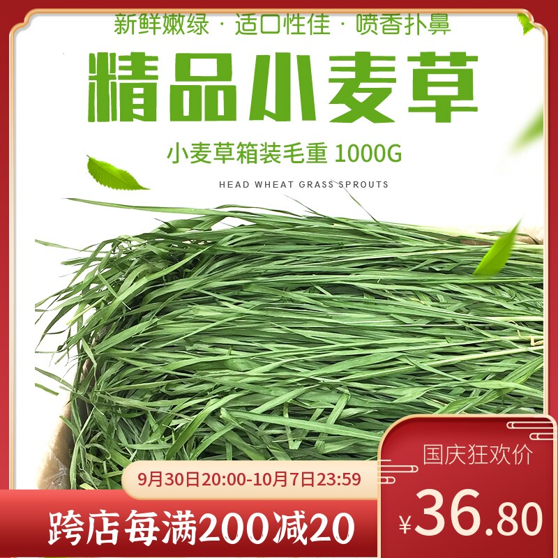 Rabbit grain and grass feed wheat grass new grass drying grass guinea pig chinchilla guinea pig grain high fiber forage grass 1kg
