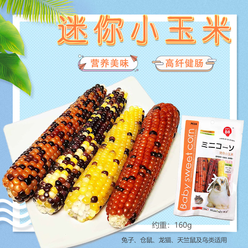 Pets 88 Hamada Mini Corn Rabbit Chinchilla Hamster Dutch Pig Natural Molar Corn Kernels Molar Stick