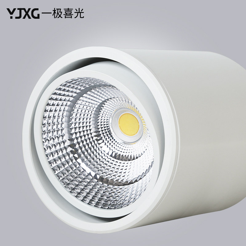 Commercial Ceiling Surface Mounted Spotlights Led Ceiling