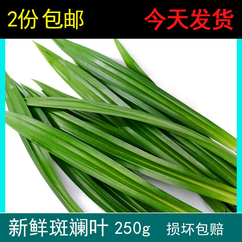 Fresh pandan leaf pandan leaves 250g edible pandan leaf wrapped chicken pandan leaf thousand-layer cake colorful juice bread