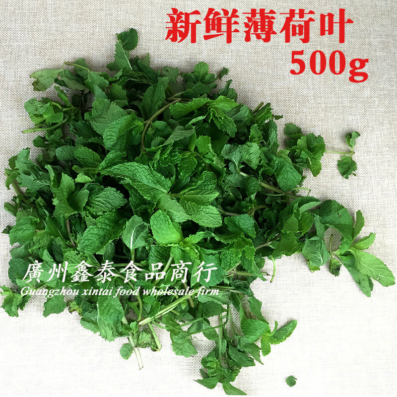 Mint Leaves Fresh Fresh Cool Green Mint Leaves Thai Mint Leaf Cocktail material 500g 1 catty