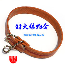 Long Wolfdog set buckle rope slip dog pet towing leash collar set size porous adjustment thick