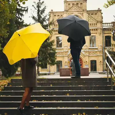 New Zealand Blunt umbrella oversized double men and Women classic straight handle 20 version of the storm umbrella