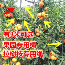 Fruit tree branch rope hanging melon rope glue strip glue rope to tie the tree with rope bamboo frame rope tie tape strap row of mountain strips
