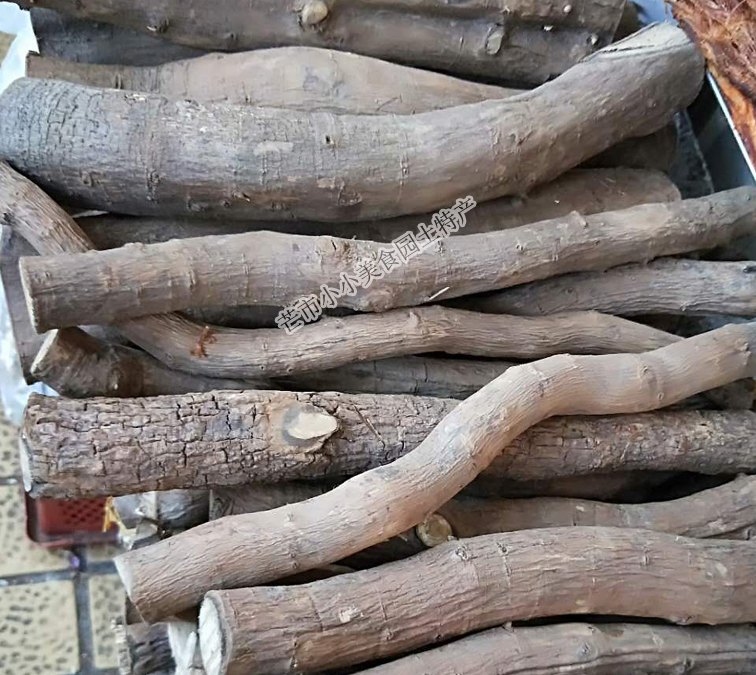 Mountain Pepper Root 1 Catty Condiment White Pepper Root Cold Stomach Pure Root Bull Fascia Root Thunder Public High Red Leaf Firewood Gold Oak