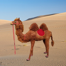 Large simulation camel animal model specimen doll fur crafts shopping props