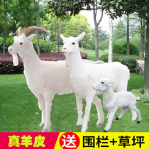 Simulation goat milk goat goat sheep model sheep specimen milk powder shop decoration activity display props crafts