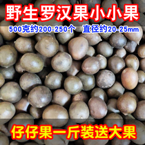 Guangxi Guilin Production Spéciale de petits paparazzi fruits secs petits grosvenis fruits de poche 1 catty 500 gr pour lenvoi de gros fruits 2