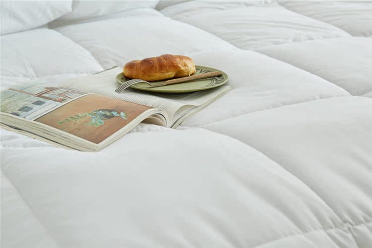 Phong cách tốt Fengzi được chia thành hai trong một mùa thu và mùa đông dày quilt là 褥 chất lượng cao mùa hè ấm mềm lông nhung lõi 包邮 cp 	chăn bông siêu ấm	