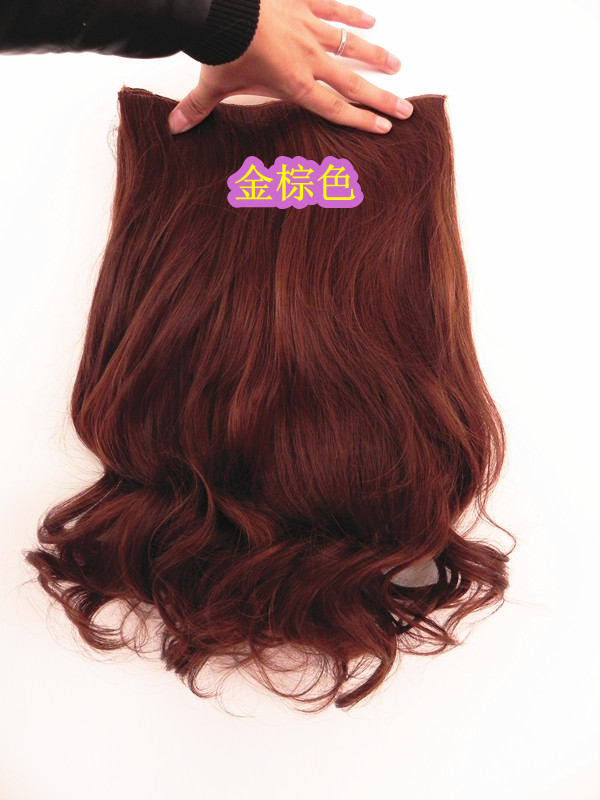 Extension cheveux - Ref 219570 Image 54