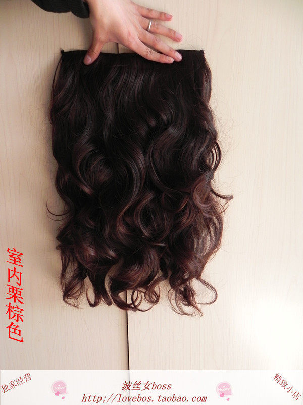 Extension cheveux - Ref 219298 Image 28