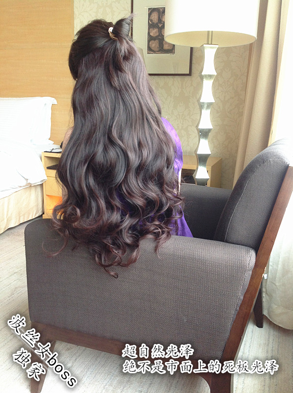 Extension cheveux - Ref 218786 Image 33