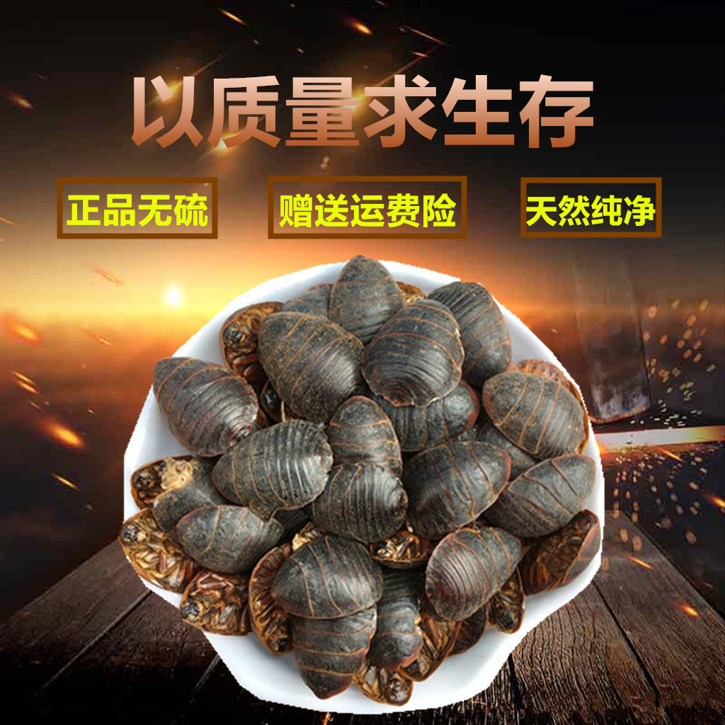 Chinese herbal medicines, small soil yuan culture, soil turtle worm, ground turtle worm, stinging insect, fresh dry goods 500g soil yuan powder