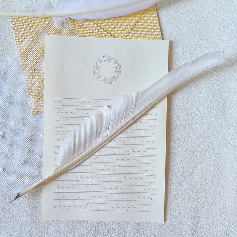 Calligraphy Blogger Handmade Vintage Quill Pen Set with Goose Feathers for Students' Journals, Free Shipping, Width Can Be Adjusted