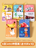 [5 коробок] Животные+фрукты и овощи+символы+трафик+числа (450 шаблонов)