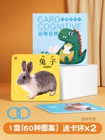 [1 коробка с большими картами] Познание животных (увеличение утолщения)