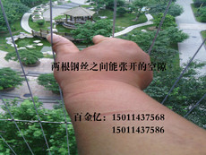 Балконное окно 隐形防盗窗、窗户阳台钢丝护网、儿童防护网，同城卖家入户安装 Baijin billion