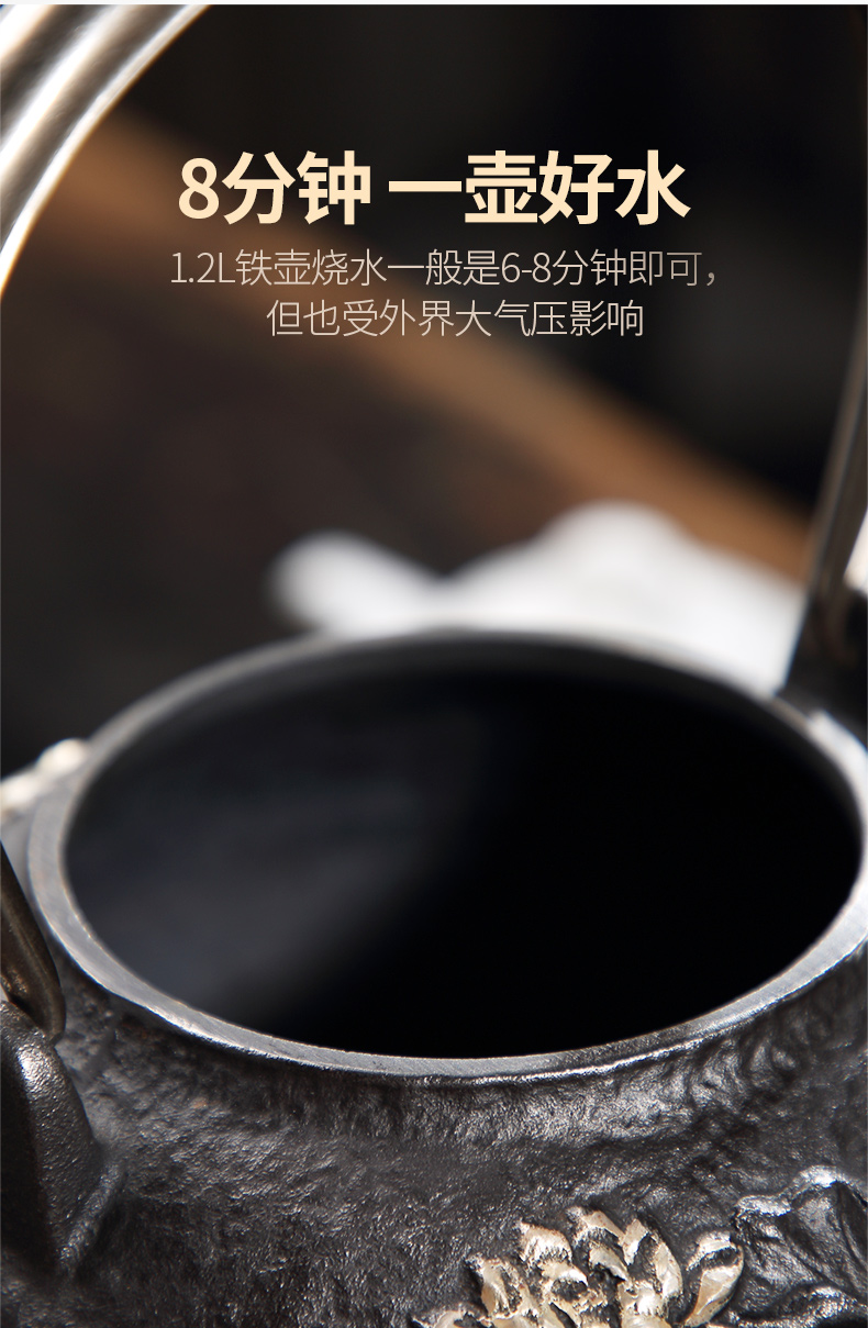 Iron pot of cast Iron tea kettle Japanese tea pot boiling tea ware household electric TaoLu bottle tea kettle