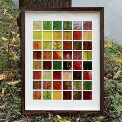 Fall Leaf Photo Frame 48 Grids Leaf Specimen DIY Autumn Collection 36 Grids Autumn Grids Leaf Picture Frame Handmade