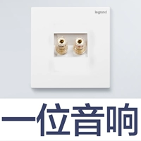 Вставка спикера