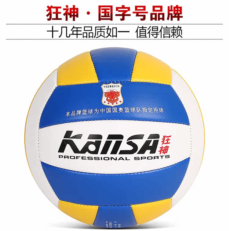 Ballon de volley-ball - Ref 2010551 Image 34